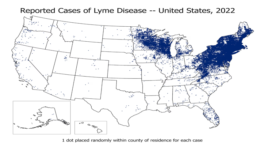 Map showing reported cases of Lyme disease are heavy in the northeast.