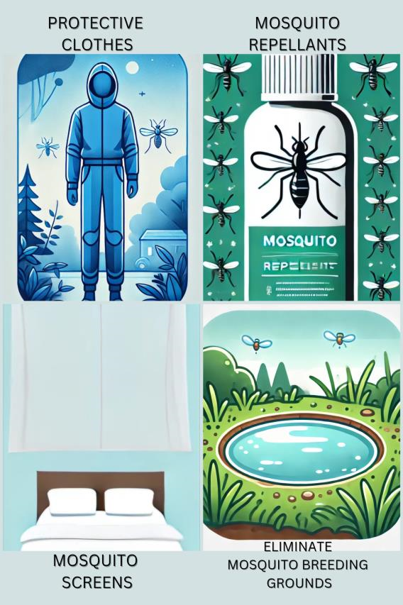 Images of protective clothes, mosquito repellents, mosquito screens, and eliminate mosquito breeding grounds