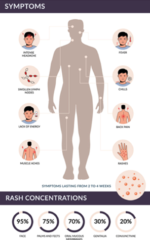 A diagram listing symptoms: intense headache, swollen lymph nodes, lack of energy, muscle aches, fever, chills, back pain, rashes. Symptoms lasting from 2 to 4 weeks. Rash concentrations: 95% face, 75% palms and feet, 70% oral mucous me membranes, 30% genitalia 